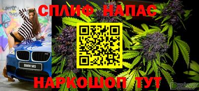 прущие крисы Заводоуковск