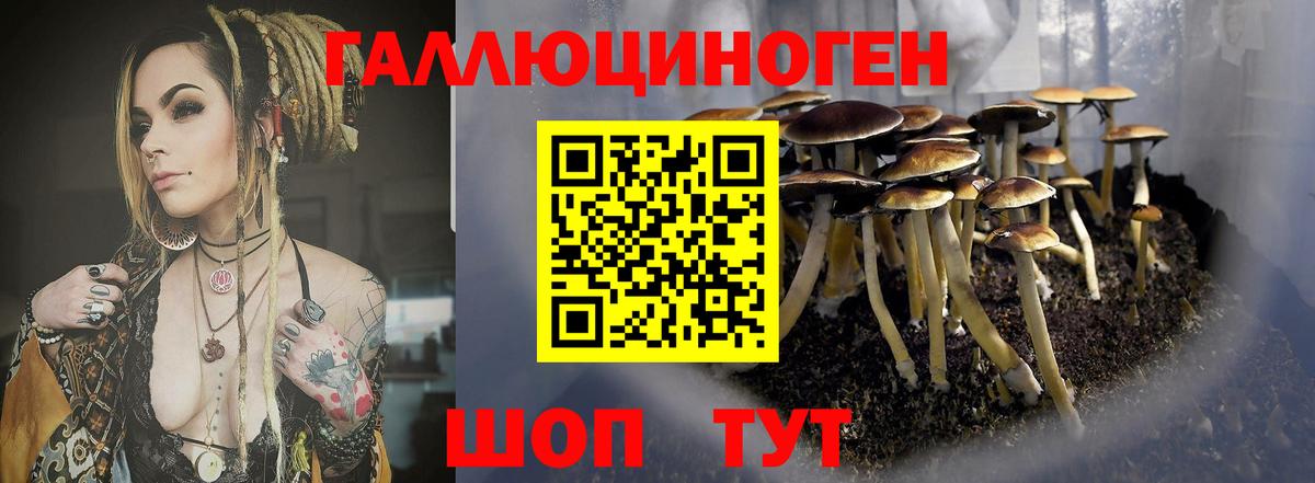 Ирбит  Псилоцибиновые грибы Psilocybe  Вход с VPN 